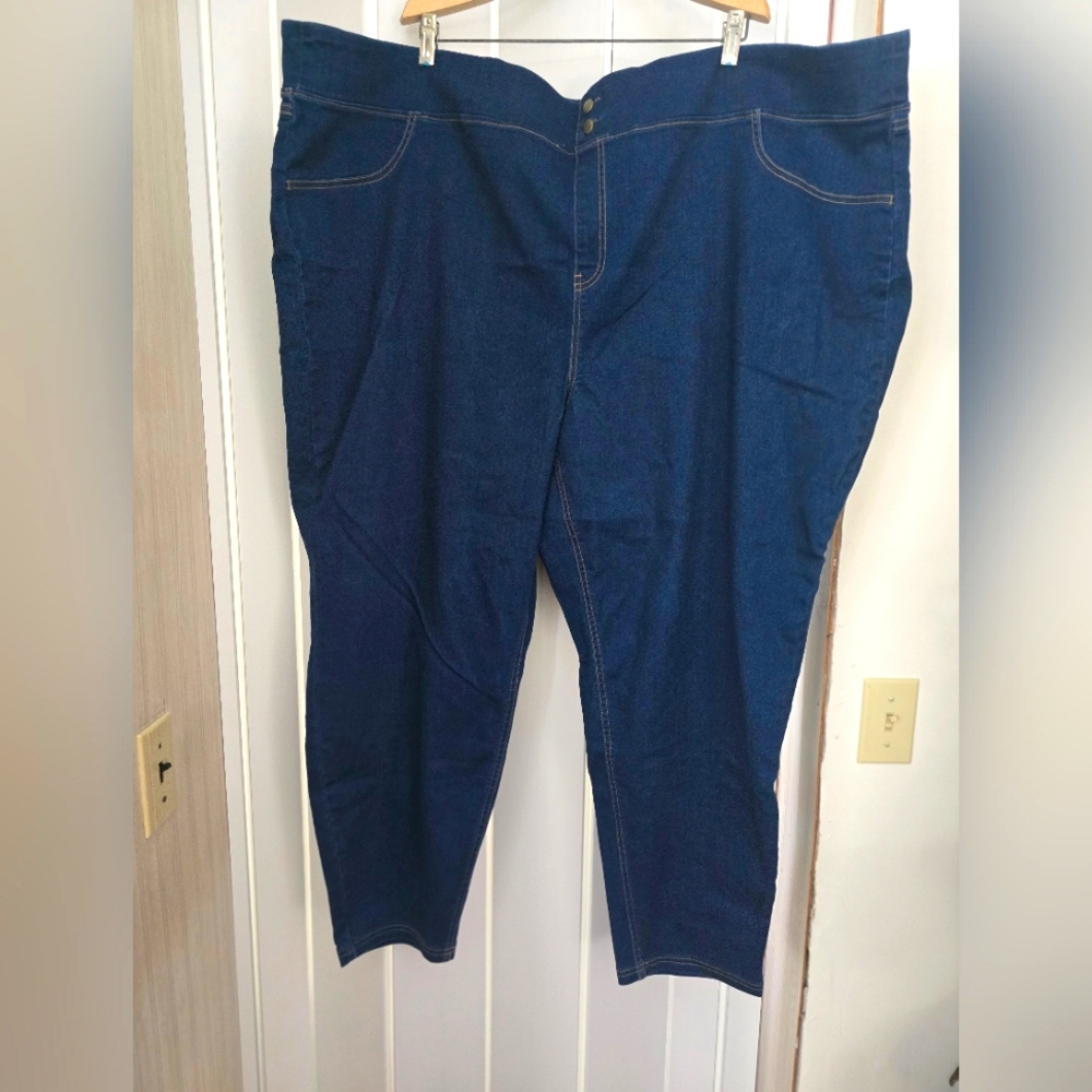 Brand new with tags Terra and Sky Jeggings